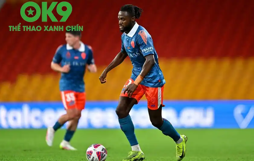 Brisbane Roar khó có thể tránh khỏi một thất bại trước Wellington Phoenix Brisbane Roar khó có thể tránh khỏi một thất bại trước Wellington Phoenix