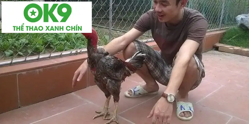 Vua Midas một thời khuấy đảo bầu trời Việt Nam Vua Midas một thời khuấy đảo bầu trời Việt Nam